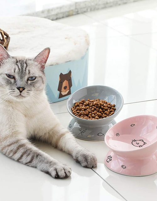 Load image into Gallery viewer, Ceramic Raised Cat Bowls, Slanted Cat Dish Food or Water Bowls, Elevated Porcelain Pet Feeder Bowl Protect Cat'S Spine, Stress Free, Backflow Prevention (Grey)
