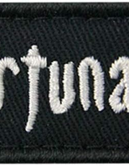 Load image into Gallery viewer, Fortis Fortuna Adiuvat Fortune Favors the Brave Morale Tactical Patch Embroidered Applique Fastener Hook &amp; Loop Emblem
