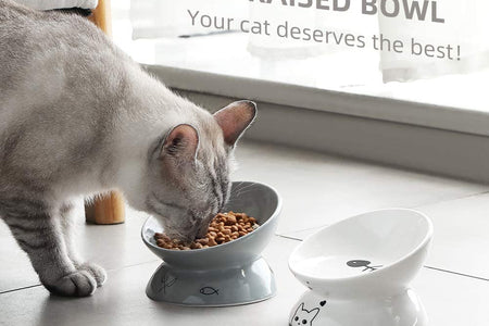 Ceramic Raised Cat Bowls, Slanted Cat Dish Food or Water Bowls, Elevated Porcelain Pet Feeder Bowl Protect Cat'S Spine, Stress Free, Backflow Prevention (Grey)