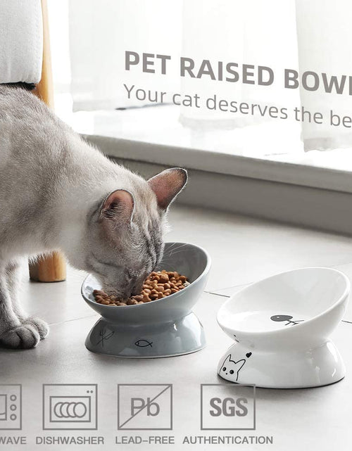Load image into Gallery viewer, Ceramic Raised Cat Bowls, Slanted Cat Dish Food or Water Bowls, Elevated Porcelain Pet Feeder Bowl Protect Cat'S Spine, Stress Free, Backflow Prevention (Grey)
